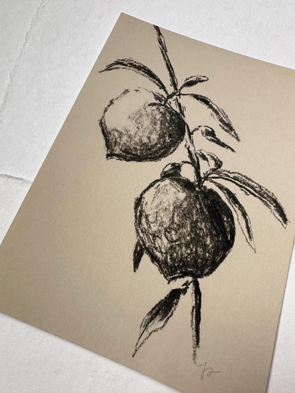 Print, Charcoal Peaches - Original Charcoal Art, Still Life Floral, Small, Minimalist, Unique, Whimsical, Moody, Simple Sketch, Farm House