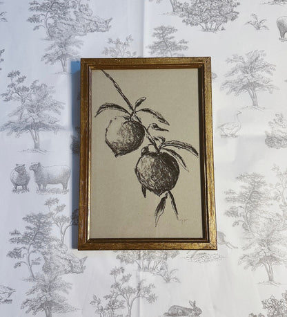 Sketch Peaches - Original Charcoal Art, Rectangle Frame Included, Still Life Floral, Small, Minimalist, Unique, Whimsical, Moody, Simple