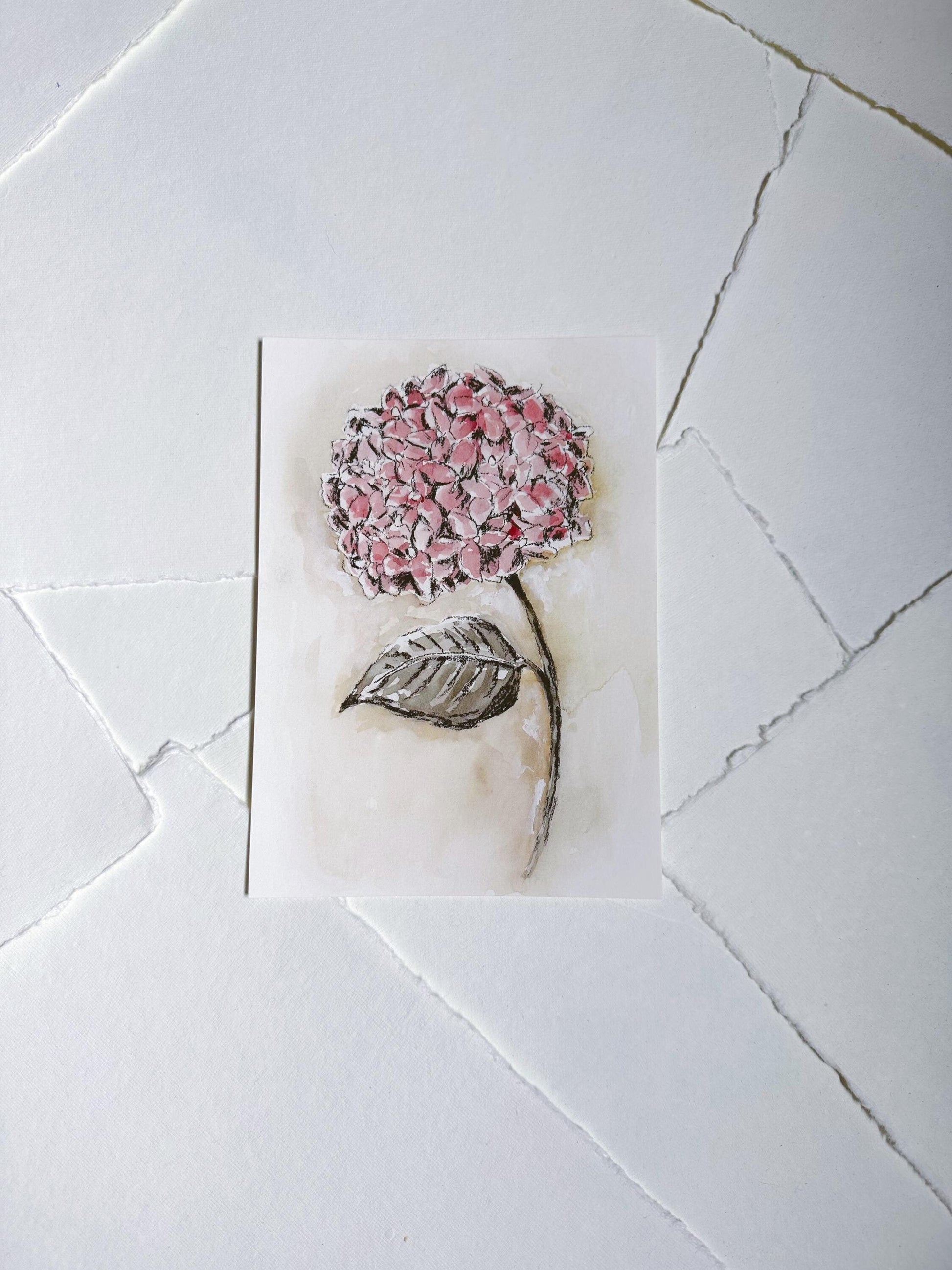 Physical Print - "Hydrangea"