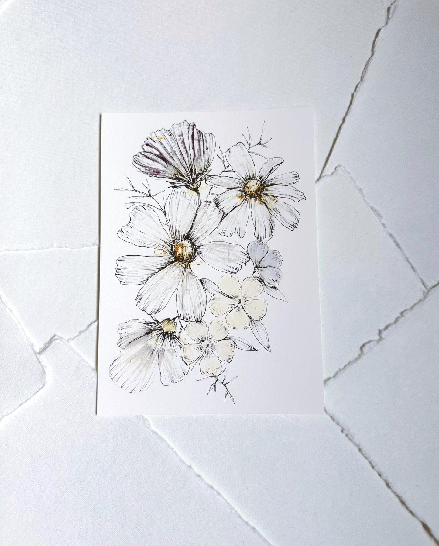 Physical Print - "Phlox and Comsos Smash Flowers"