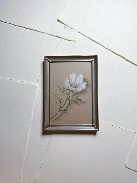 Floating Cosmos - Original Chalk Pastel Art, Rectangle Frame Included, Still Life Floral, Small, Minimalist, Unique, Whimsical, Moody