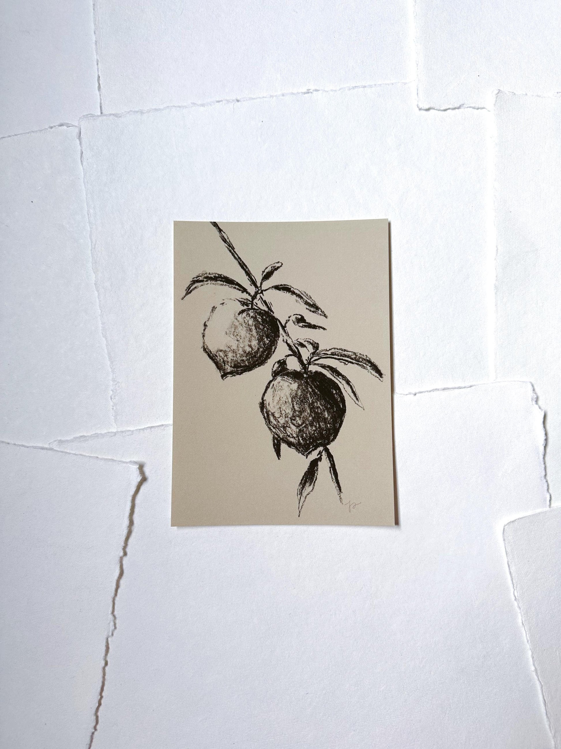 Print, Charcoal Peaches - Original Charcoal Art, Still Life Floral, Small, Minimalist, Unique, Whimsical, Moody, Simple Sketch, Farm House