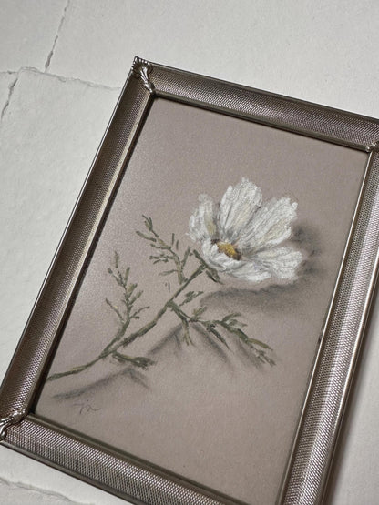 Floating Cosmos - Original Chalk Pastel Art, Rectangle Frame Included, Still Life Floral, Small, Minimalist, Unique, Whimsical, Moody