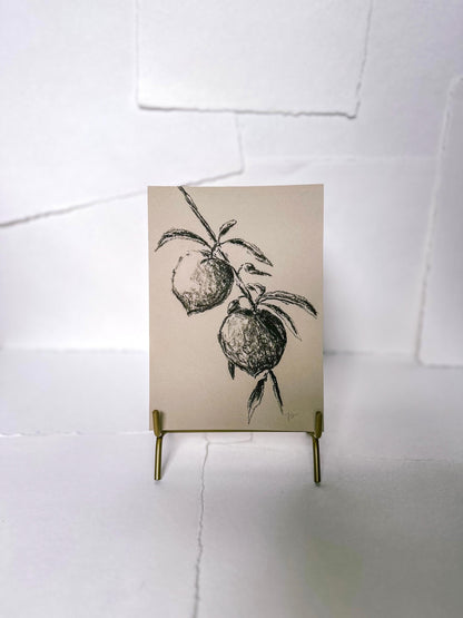 Print, Charcoal Peaches - Original Charcoal Art, Still Life Floral, Small, Minimalist, Unique, Whimsical, Moody, Simple Sketch, Farm House