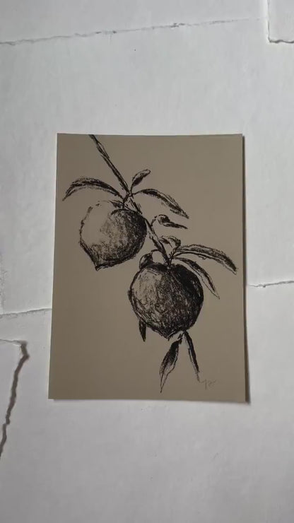 Print, Charcoal Peaches - Original Charcoal Art, Still Life Floral, Small, Minimalist, Unique, Whimsical, Moody, Simple Sketch, Farm House